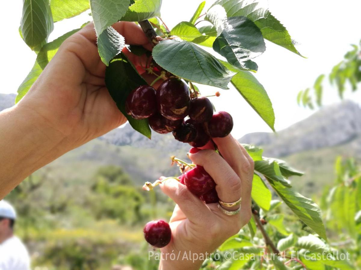 Buhardilla Rustica En La Vall De Gallinera Apart otel Patró Dış mekan fotoğraf