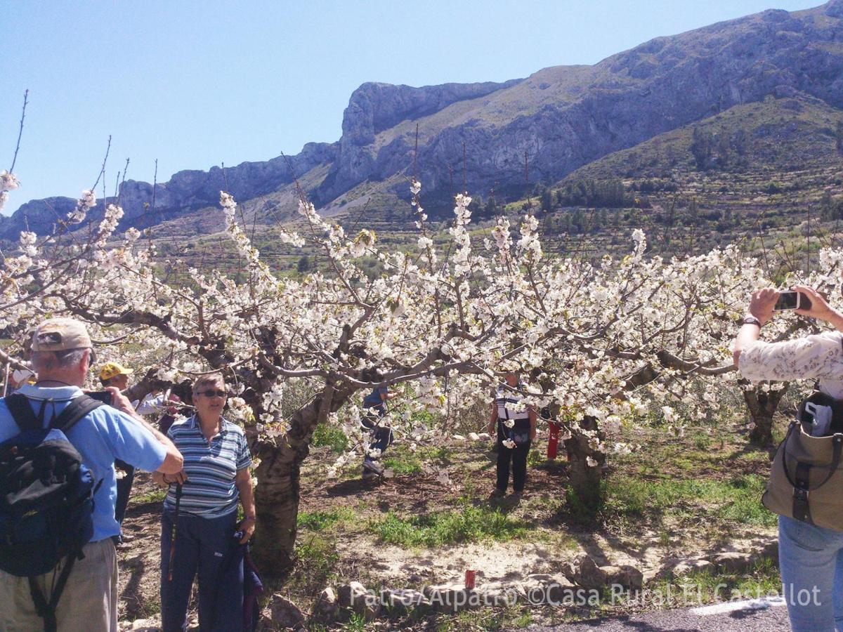 Buhardilla Rustica En La Vall De Gallinera Apart otel Patró Dış mekan fotoğraf